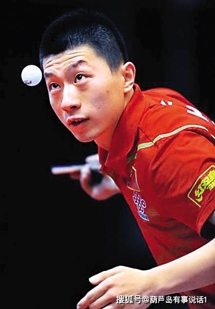 不仅是一份