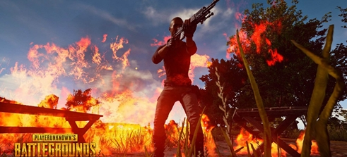 田希娜的相 田希娜的相