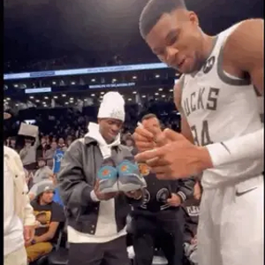 高样本数据 高样本数据